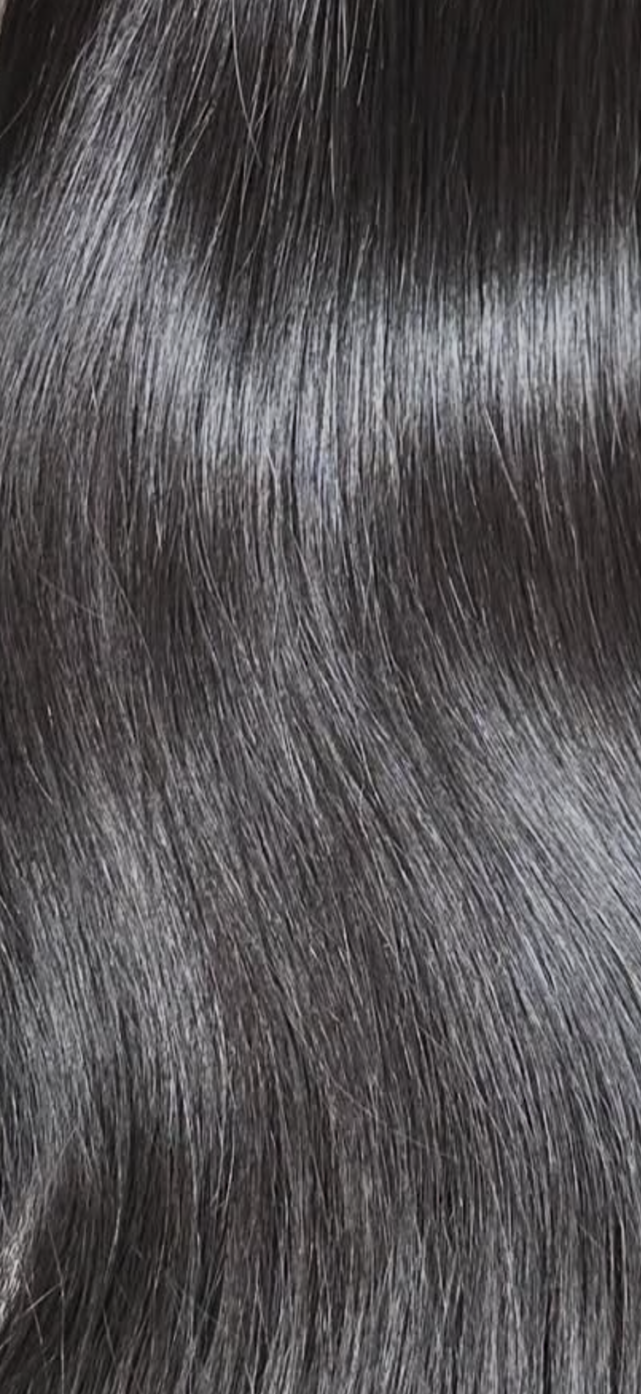 Vietnamese Straight Clip Ins