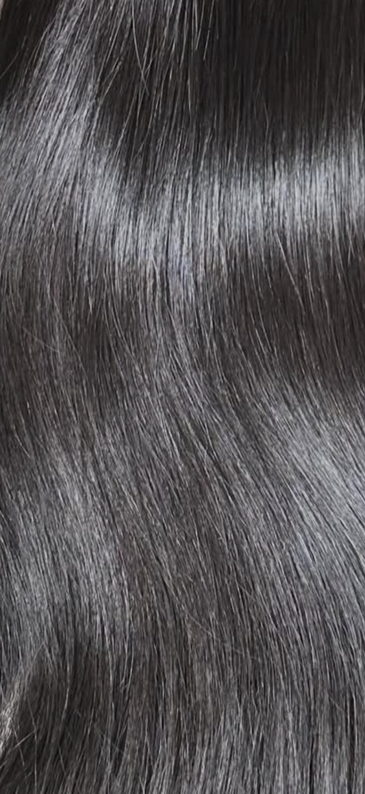 Vietnamese Straight Clip Ins