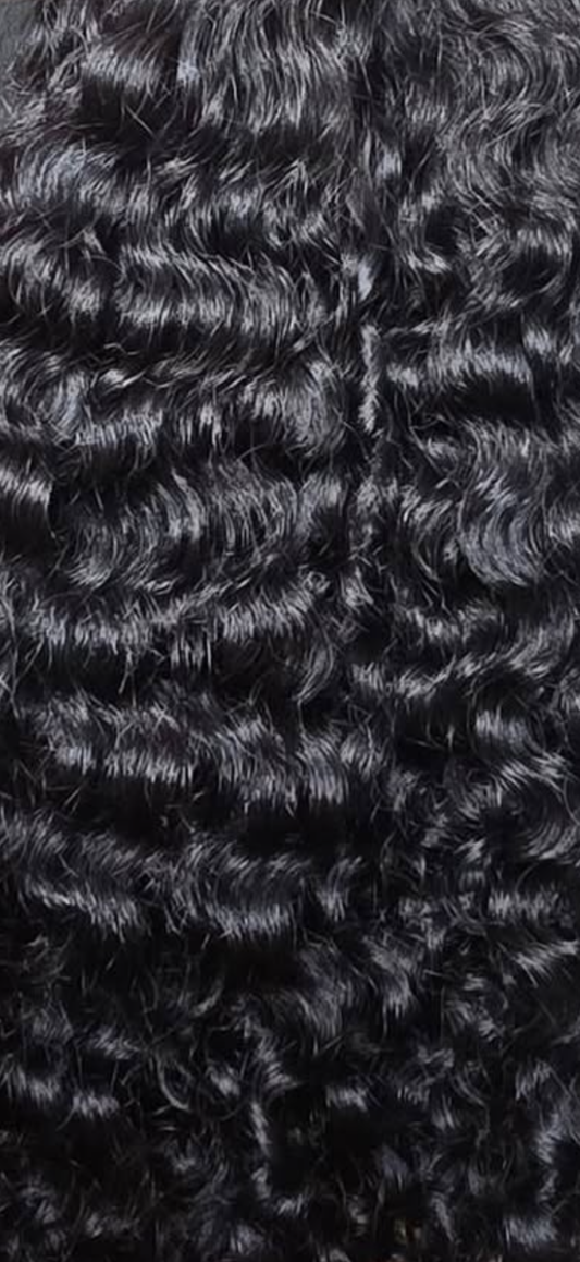 Burmese Curly