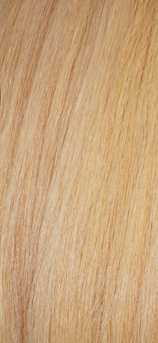 613 Vietnamese Straight